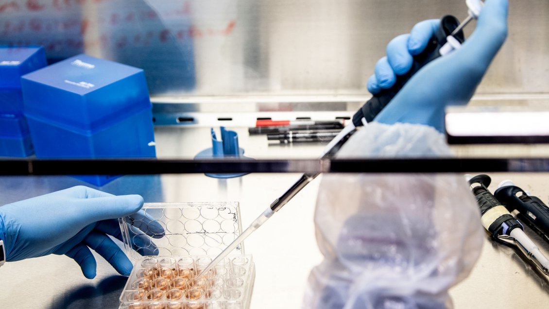 Vacuna italiana en estudio crea anticuerpos en el 93% de los casos sólo con primera dosis