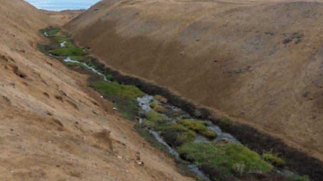 Municipio busca declarar como humedal urbano las Vertientes de La Chimba en Antofagasta