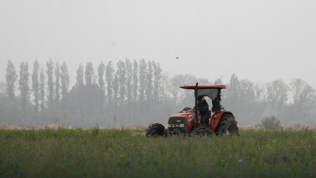 Agricultores advierten una importante falta de trabajadores para faenas