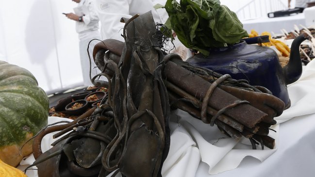 Piloto de recetas con cochayuyo tuvo rotundo éxito entre escolares