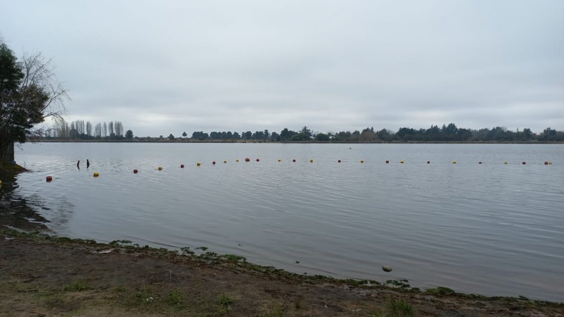 Denuncian a inmobiliaria por destrucción de humedales en Laguna Avendaño de Quillón
