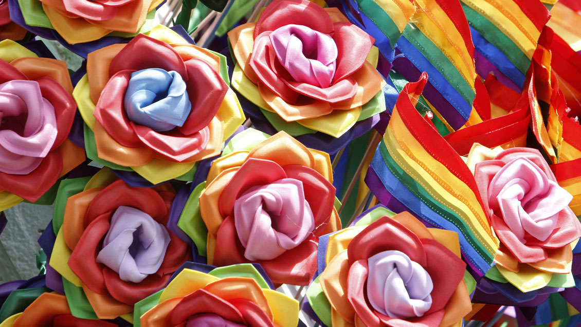 Movilh valoró avance del matrimonio igualitario como 