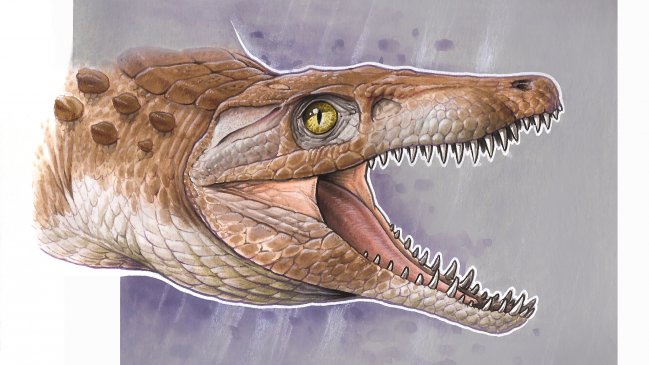 Burkesuchus Mallingrandesis: El 