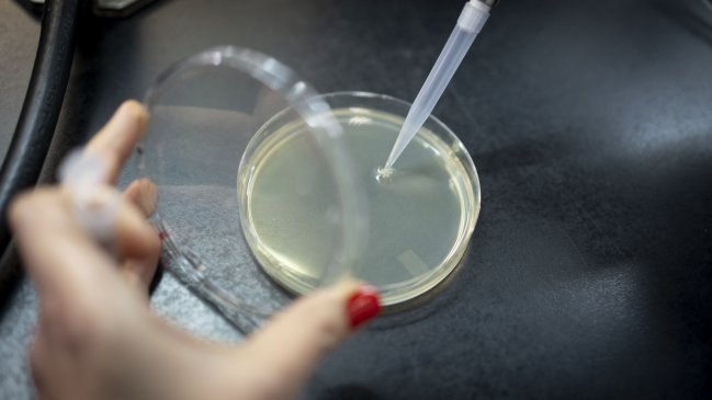 China exhorta a EEUU a invitar a expertos de la OMS a investigar laboratorio de Fort Detrick