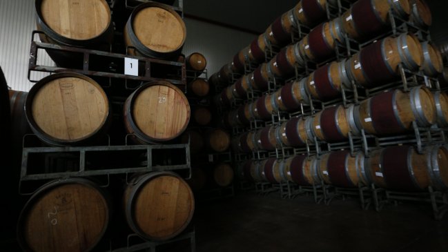   Producción 2021 de vinos nacionales creció 29,9% 