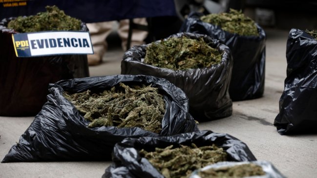 PDI incautó 30 kilos de marihuana y detuvo a ocho sospechosos de narcotráfico en Santiago