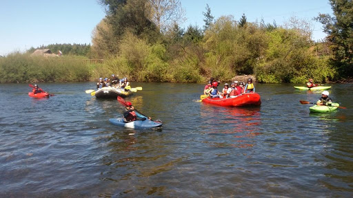 Construirán defensas fluviales en río Cruces de Loncoche