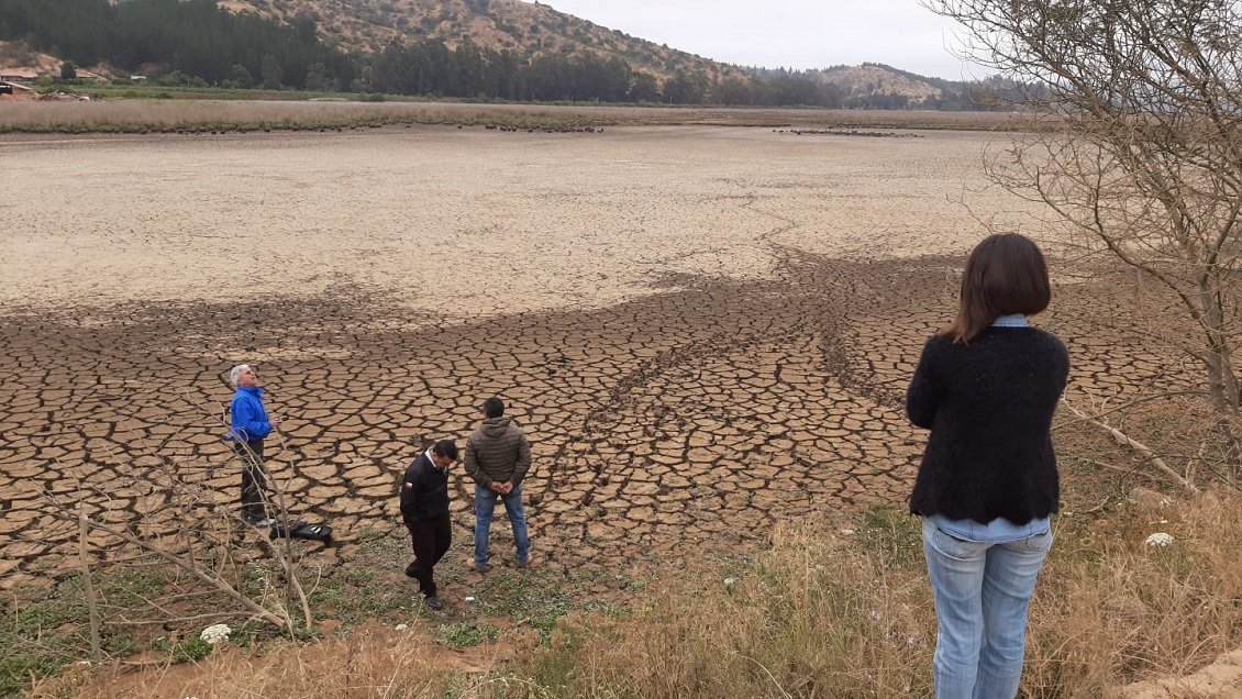 Sequía: Agricultura evalúa declarar emergencia agrícola en el Maule