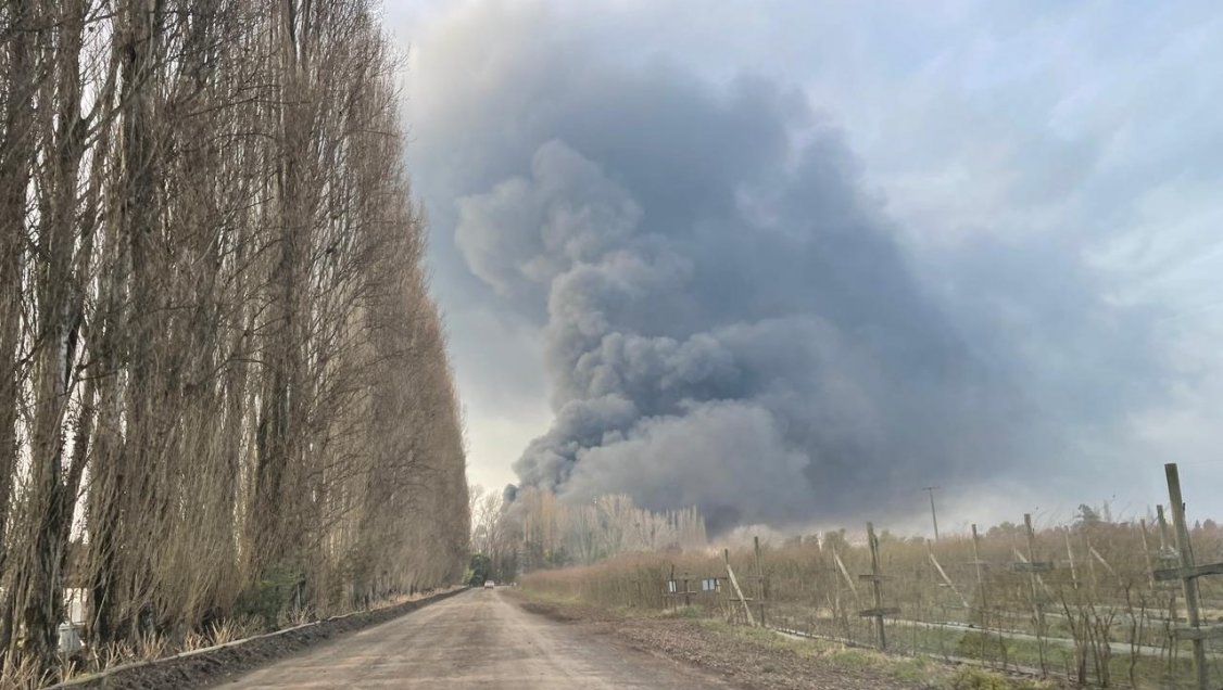 Incendio afectó a bodegas de empresa agrícola en la comuna de Coihueco