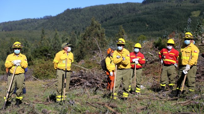 Intensifican búsqueda de hombre de 59 años desaparecido en Angol