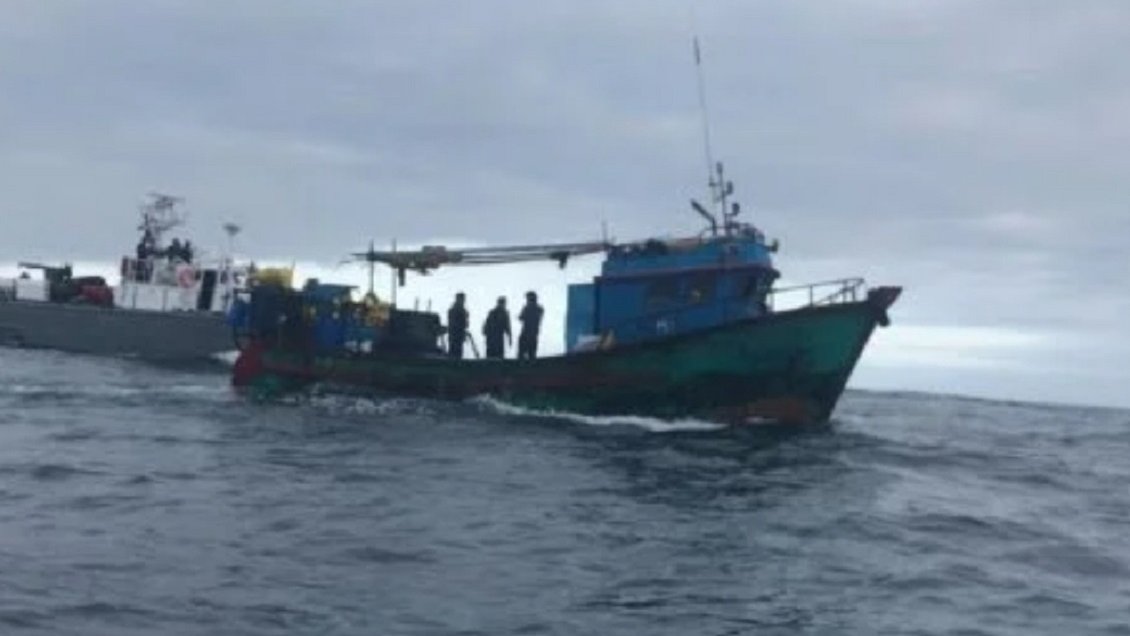 Decomisos de extracciones ilegales de la merluza llegan solamente a un 3 por ciento en 2021