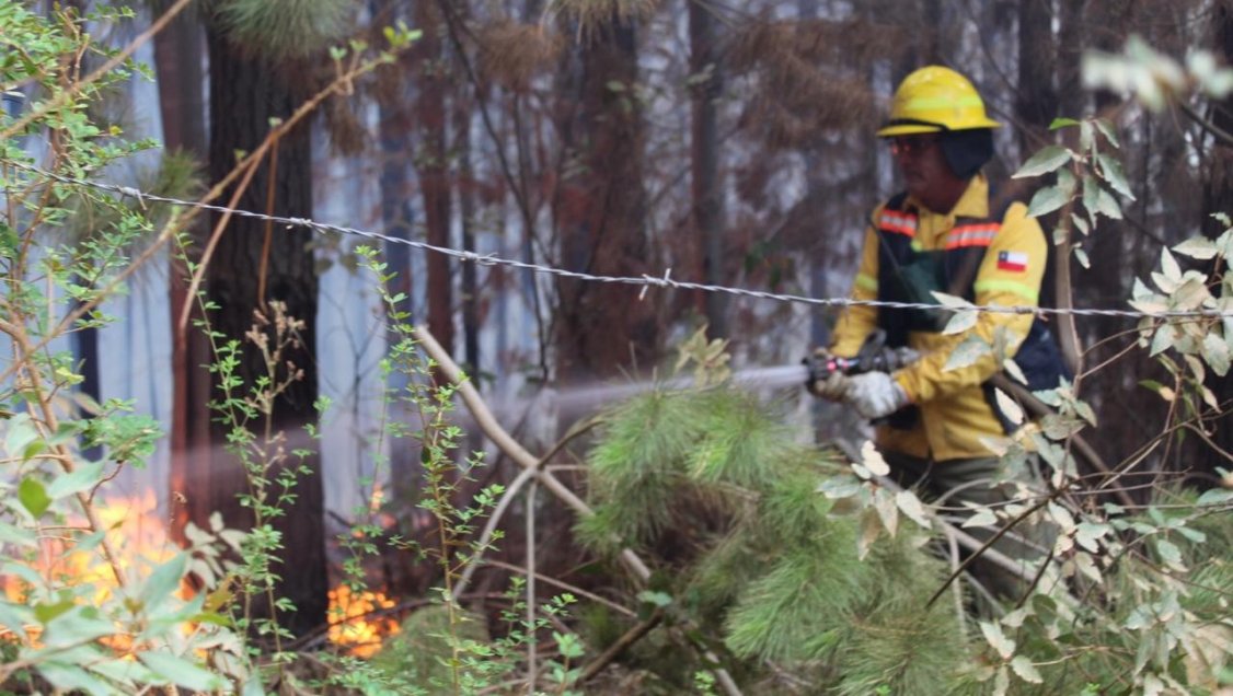 En Itata anticipan temporada de incendios forestales con mesa de coordinación preventiva