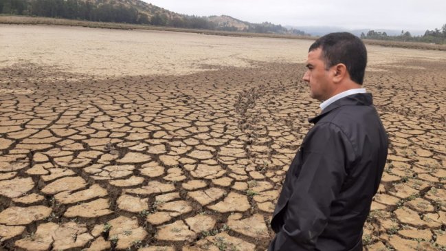 Delegación presidencial solicitó declarar emergencia agrícola para El Maule