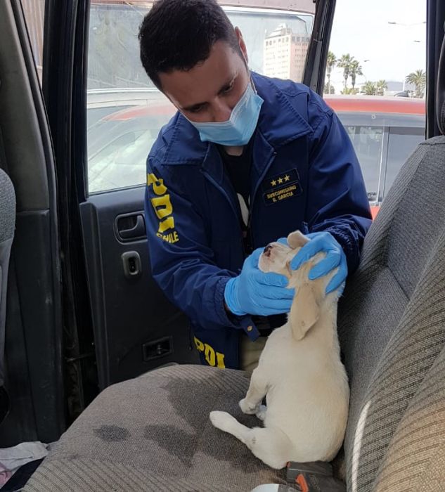 Imagen foto_00000002