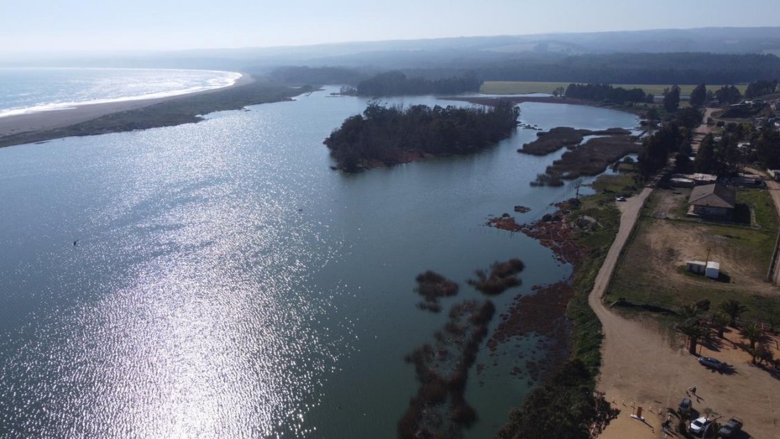 Petrel es reconocido oficialmente como el primer humedal urbano de la Región de O'Higgins