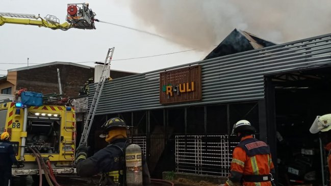 Incendio afecta a barraca con maderas en Temuco