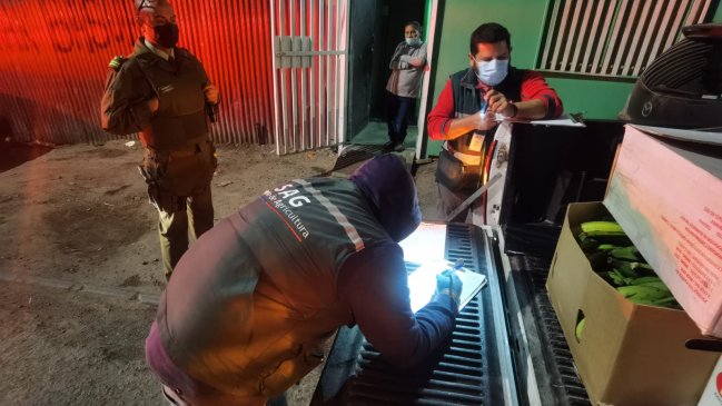 Detectan dos nuevos centros de acopio de productos agropecuarios clandestinos en Iquique