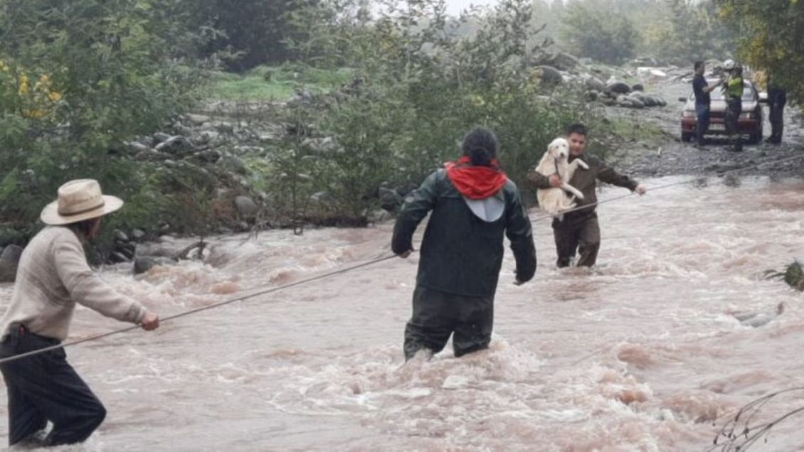 Molina: Pareja que vive en un vehículo fue rescatada junto a sus mascotas tras crecida de río