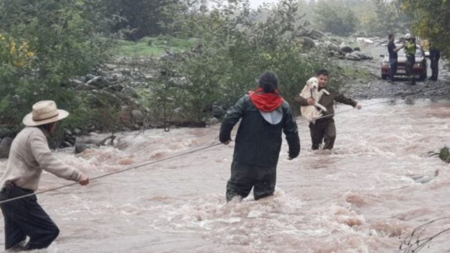 Molina: Pareja que vive en un vehículo fue rescatada junto a sus mascotas tras crecida de río