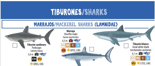 Imagen foto_00000002