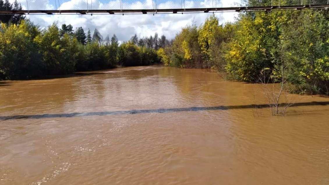 Agricultores del Maule tras lluvias: Estamos optimistas dentro del pesimismo