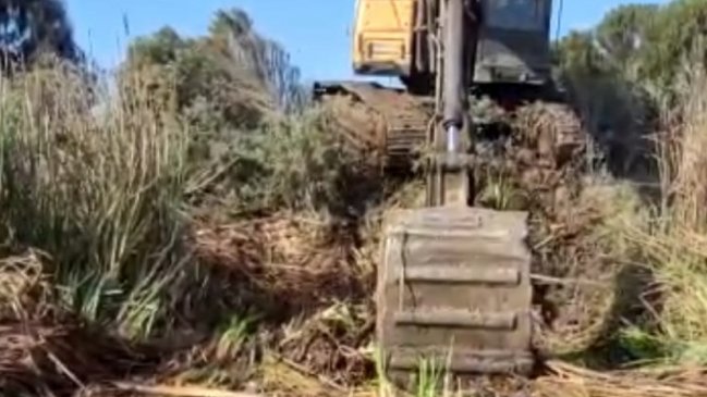 La Serena: Polémica por obras inmobiliarias cerca de un humedal no reconocido