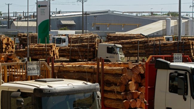 Encapuchados quemaron furgón que trasladaba a trabajadores forestales