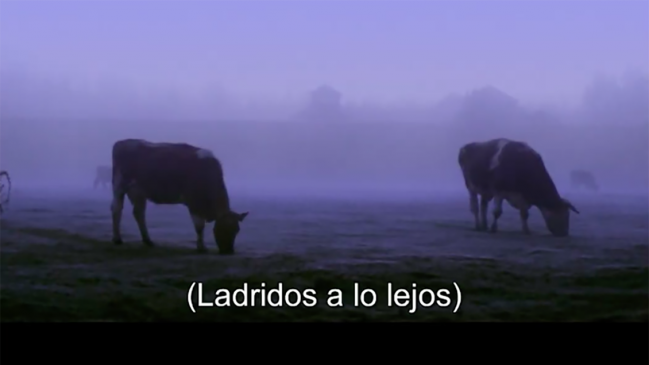 Miradoc anunció documentales con subtítulos descriptivos