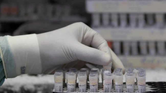 Covid-19: Salud espera comenzar la próxima semana la secuenciación genómica en el Biobío