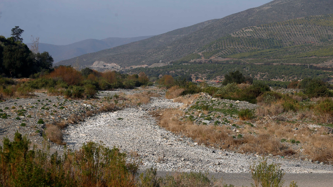 Autoridades de Ñuble piden declaración de emergencia agrícola para toda la región