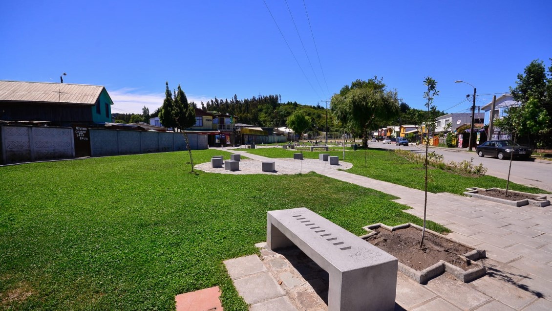 Concepción se quedó sin mantención de áreas verdes tras rechazo del concejo a un trato directo