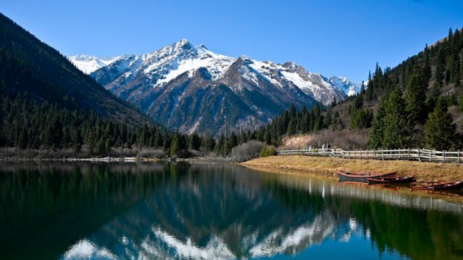 Descubren más animales raros en el suroeste de China