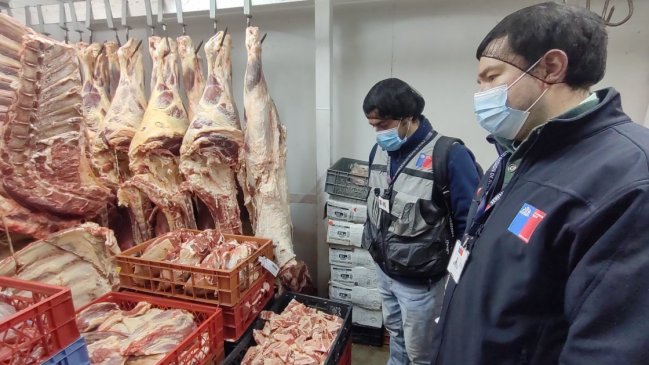 Ñuble registra más de 4.000 kilos de carne decomisados en semanas previas a Fiestas Patrias