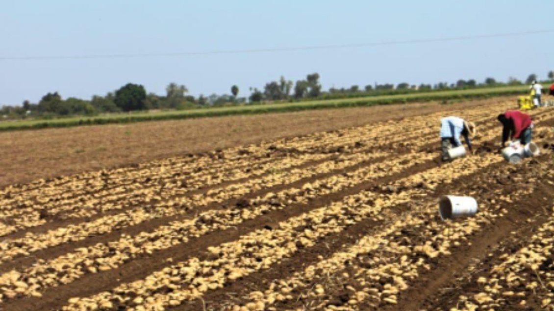 Regantes de Canal Pencahue piden que aguas del Río Claro alimenten el caudal para evitar una 