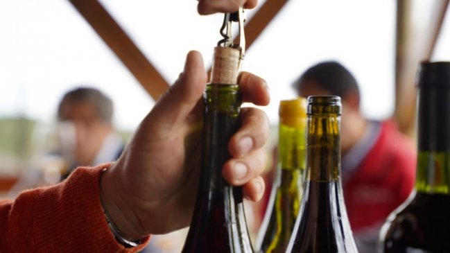 Viñateros de Itata acceden a planta vinificadora con capacidad de producir 500 mil litros de vino