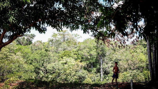 Más de 200 revistas científicas piden medidas urgentes para enfrentar el cambio climático