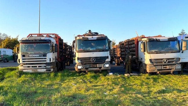Carabineros incautó cinco camiones con madera robada en La Araucanía