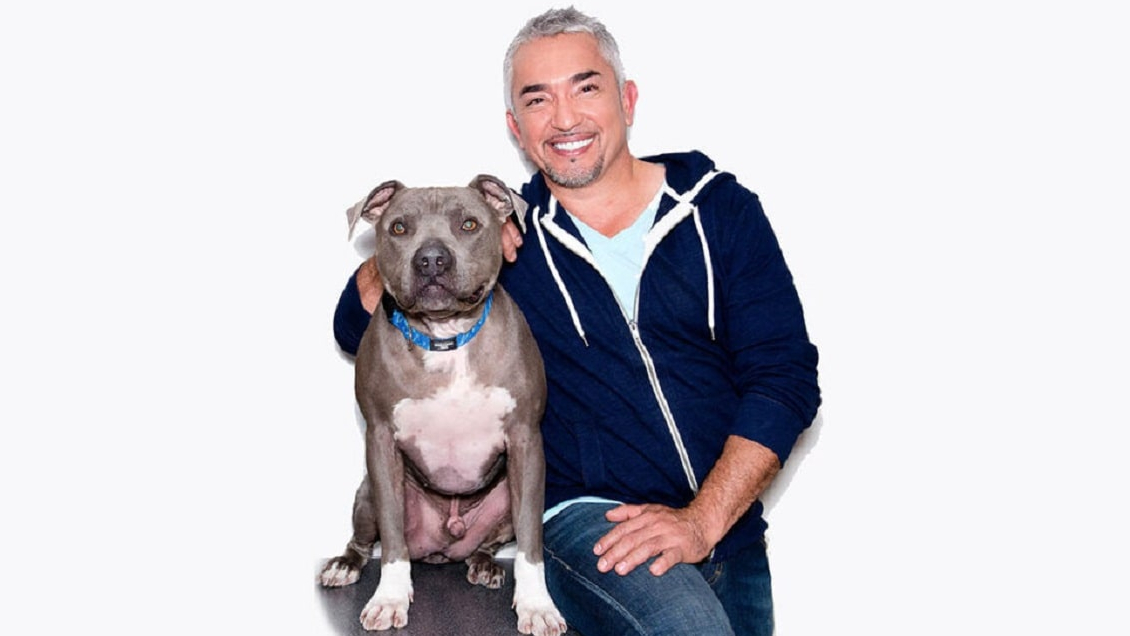 César Millan es denunciado: Aseguran que su perro mató a otro