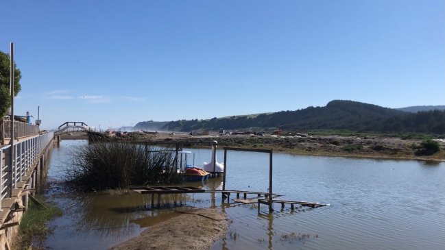 Bucalemu es reconocido oficialmente como el segundo humedal urbano de O'Higgins