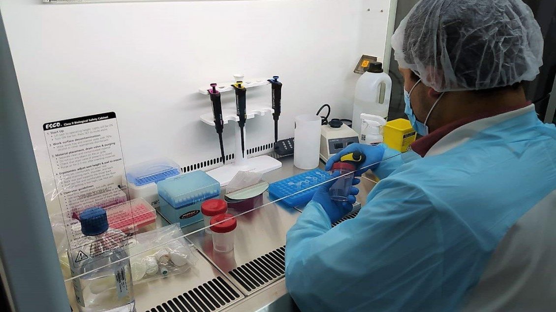 Instituto de Salud Pública confirmó presencia de variante Delta en la Región de Aysén