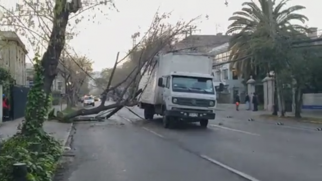 Camión derribó postes y árboles en Eliodoro Yáñez: Tránsito se mantiene cortado