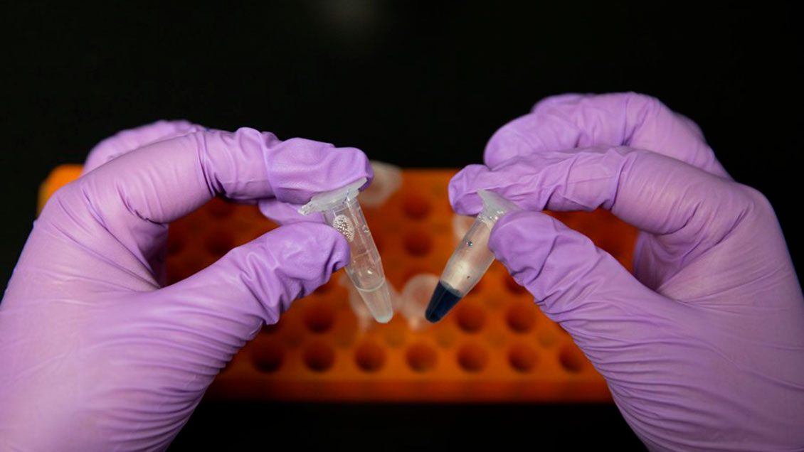 Científicos chinos sintetizan por primera vez almidón a partir de dióxido de carbono