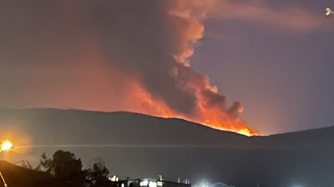Incendio forestal en Los Vilos: Preocupación por subestación eléctrica de la comuna