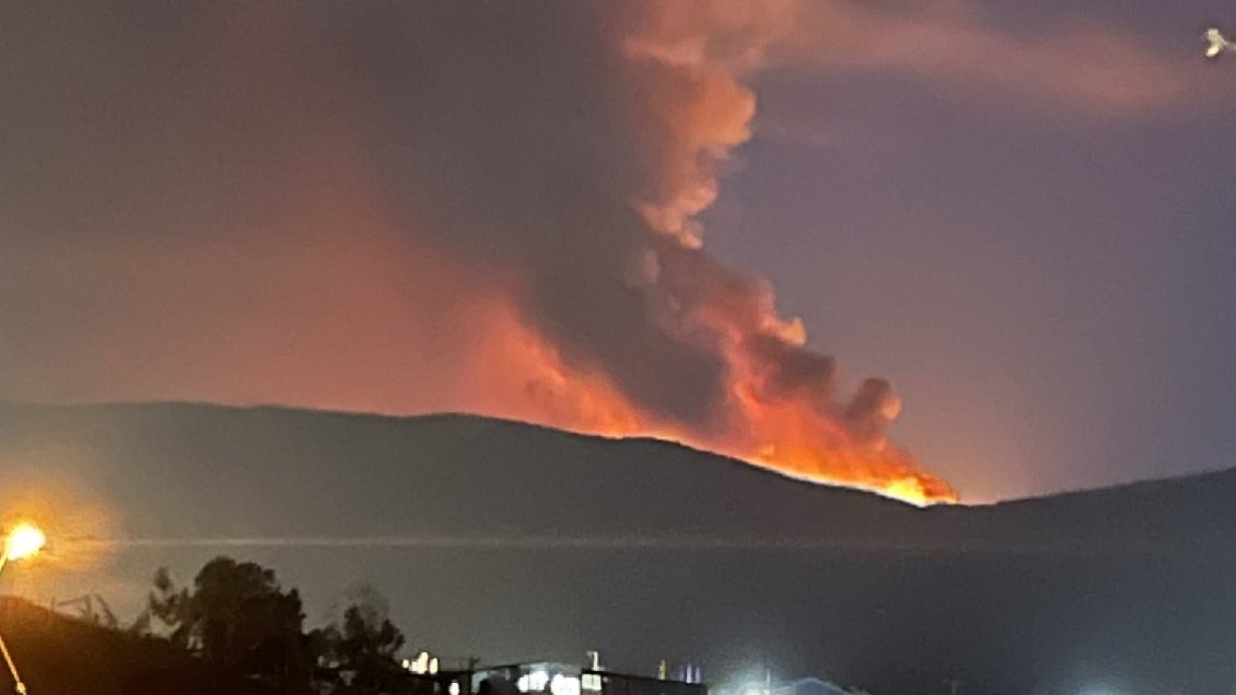 Incendio forestal en Los Vilos: Preocupación por subestación eléctrica de la comuna