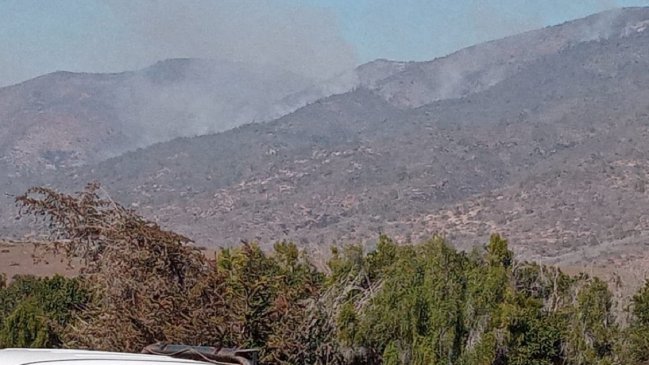 Onemi declara alerta roja comunal por incendio forestal en Los Vilos