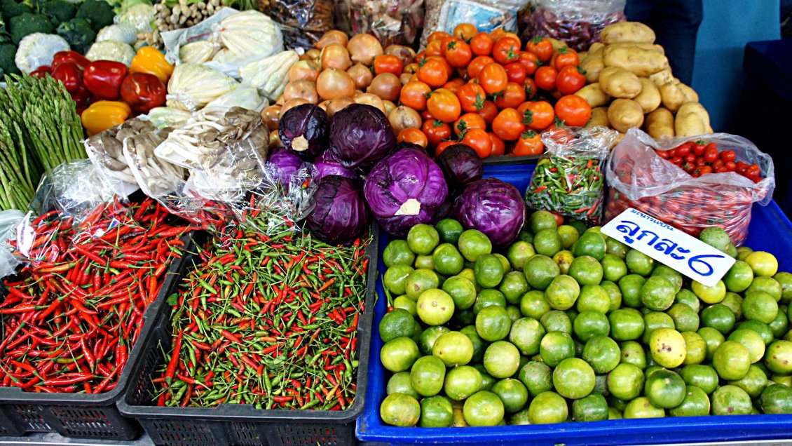 Lanzan nueva versión de Proyecto de Alimentación Saludable en el Ámbito Laboral en Magallanes