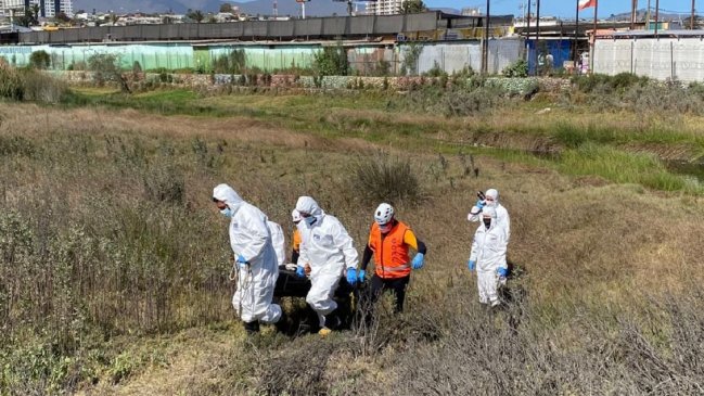 Hallan cuerpo sin vida flotando en humedal El Culebrón de Coquimbo