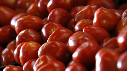   Arrancó la encuesta del INE para definir la nueva canasta del IPC 