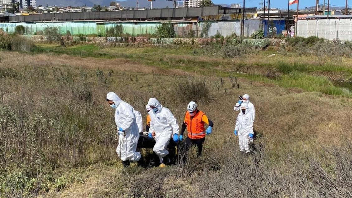 Hallan cuerpo sin vida flotando en humedal El Culebrón de Coquimbo