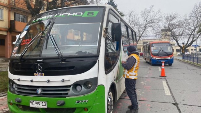 Cerca de 200 taxibuses han sido renovados en Ñuble desde que es región